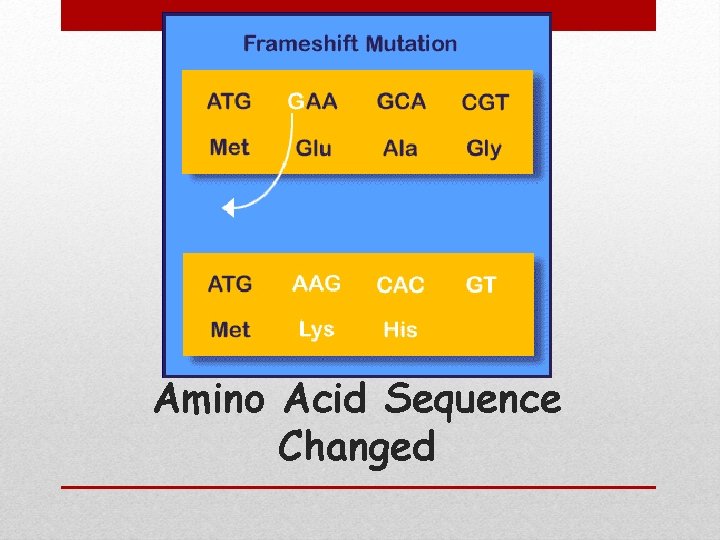 Amino Acid Sequence Changed 