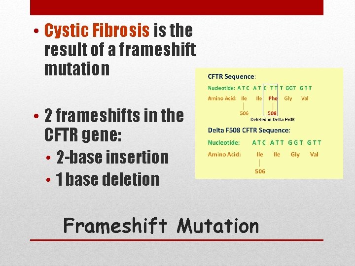  • Cystic Fibrosis is the result of a frameshift mutation • 2 frameshifts