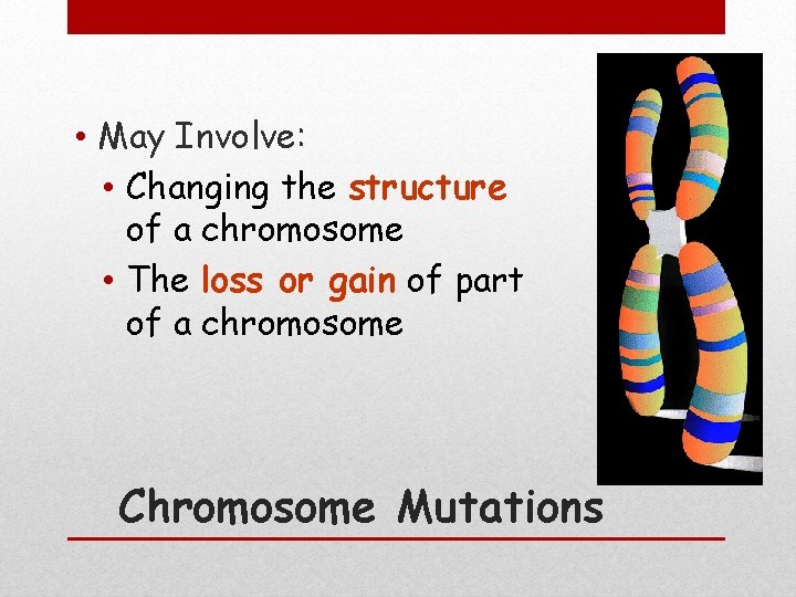  • May Involve: • Changing the structure of a chromosome • The loss