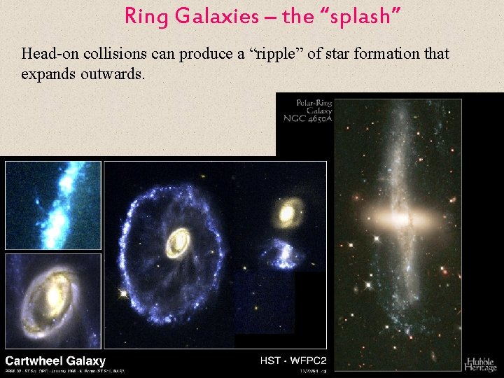 Ring Galaxies – the “splash” Head-on collisions can produce a “ripple” of star formation