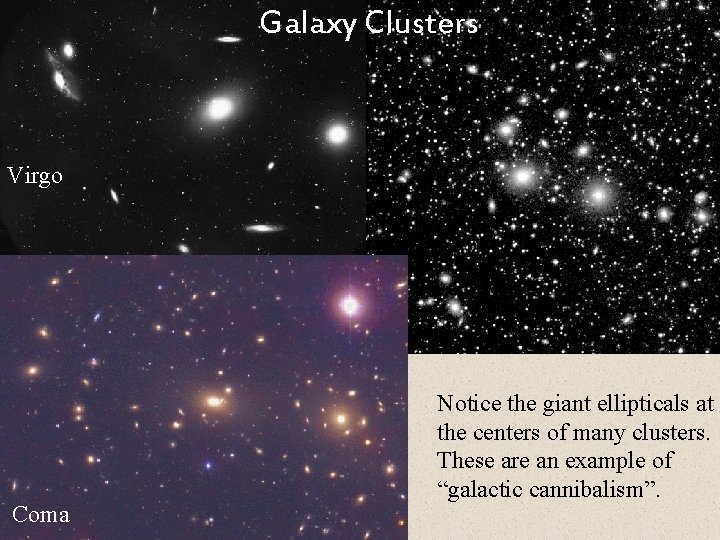 Galaxy Clusters Virgo Coma Notice the giant ellipticals at the centers of many clusters.