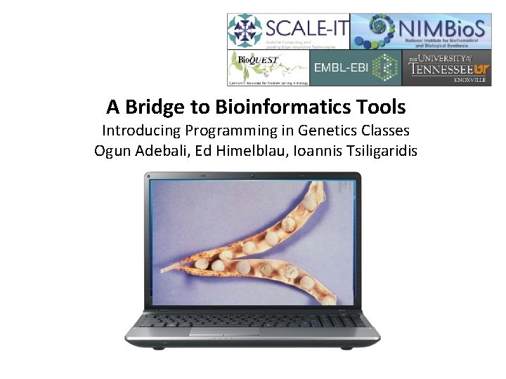 A Bridge to Bioinformatics Tools Introducing Programming in Genetics Classes Ogun Adebali, Ed Himelblau,