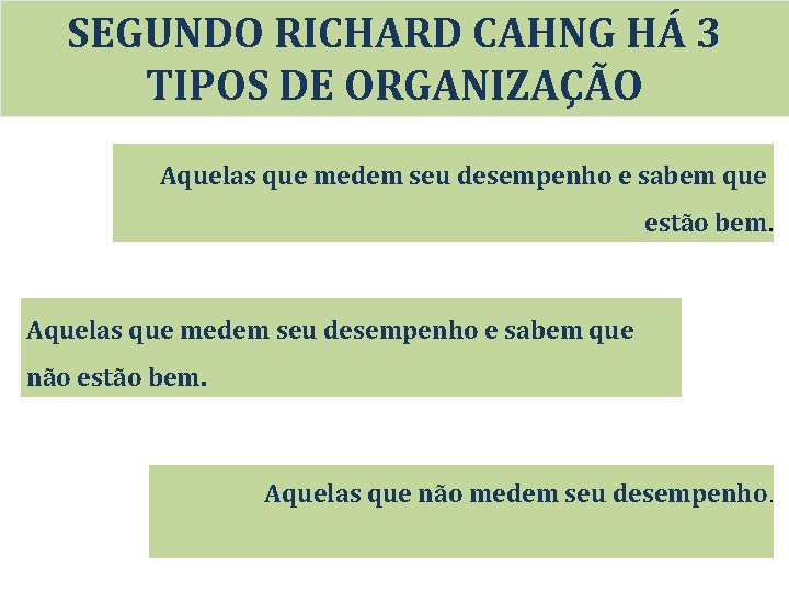 SEGUNDO RICHARD CAHNG HÁ 3 TIPOS DE ORGANIZAÇÃO Aquelas que medem seu desempenho e