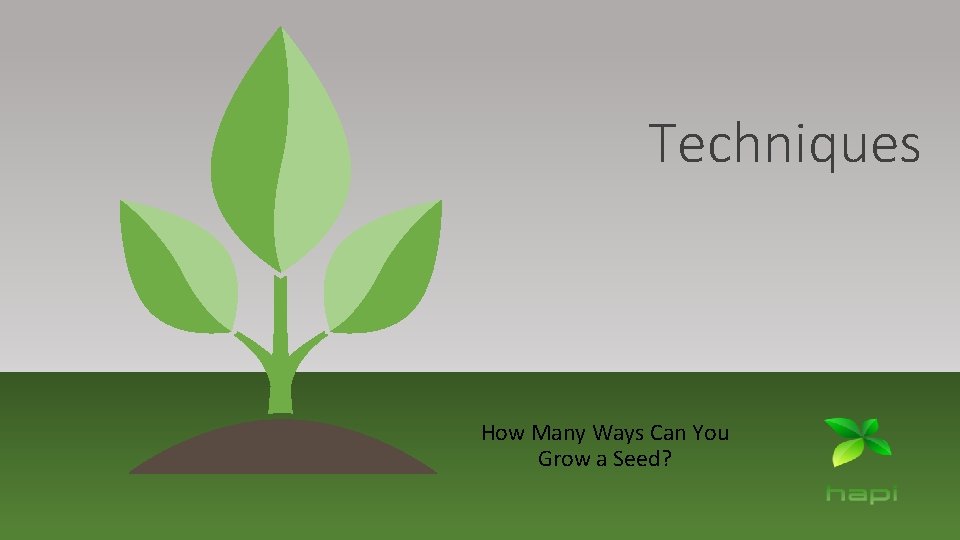 Techniques How Many Ways Can You Grow a Seed? 