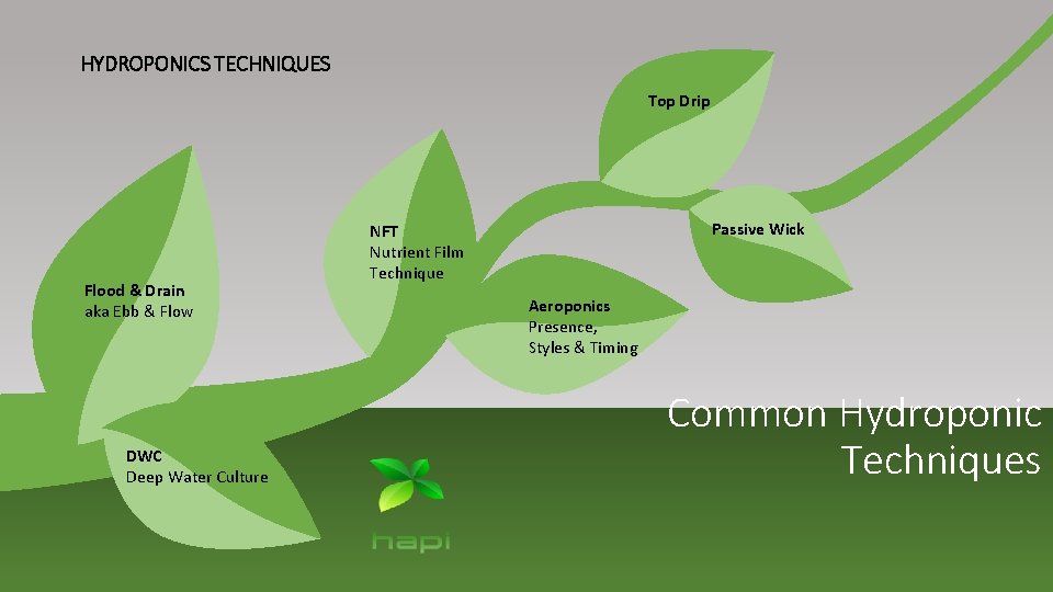 HYDROPONICS TECHNIQUES Top Drip Flood & Drain aka Ebb & Flow DWC Deep Water