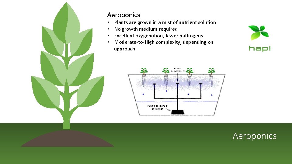 Aeroponics • • Plants are grown in a mist of nutrient solution No growth