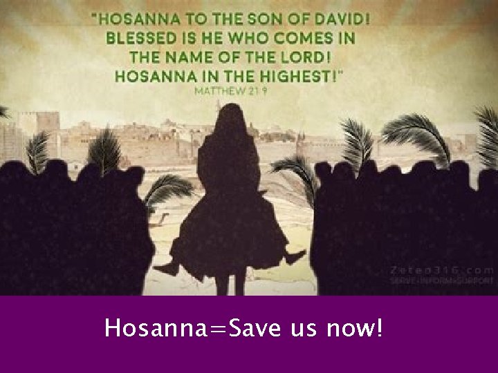 Hosanna=Save us now! 