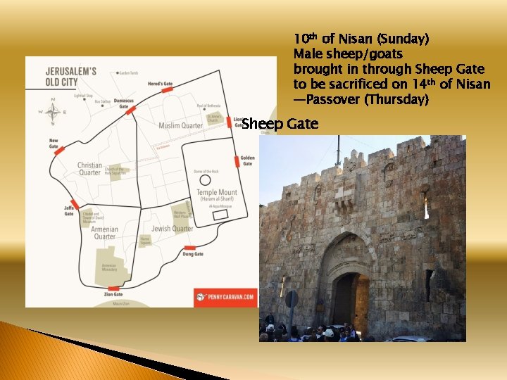 10 th of Nisan (Sunday) Male sheep/goats brought in through Sheep Gate to be