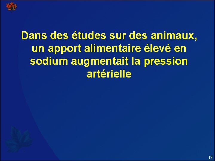 Dans des études sur des animaux, un apport alimentaire élevé en sodium augmentait la Dans des études sur des animaux, un apport alimentaire élevé en sodium augmentait la