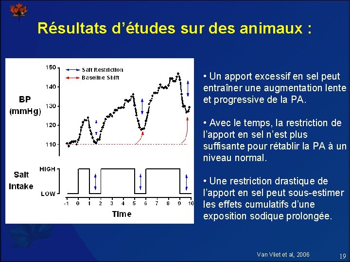 Résultats d’études sur des animaux : • Un apport excessif en sel peut entraîner