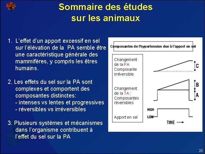 Sommaire des études sur les animaux 1. L’effet d’un apport excessif en sel sur Sommaire des études sur les animaux 1. L’effet d’un apport excessif en sel sur