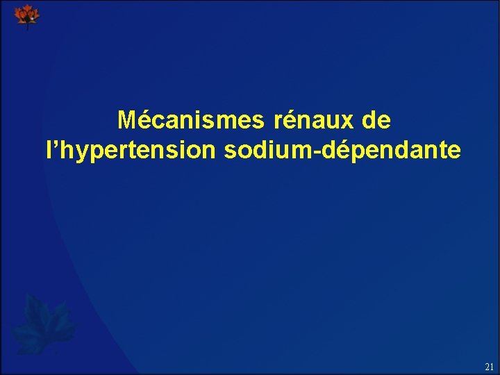 Mécanismes rénaux de l’hypertension sodium-dépendante 21 