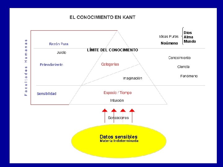 Noúmeno LÍMITE DEL CONOCIMIENTO Datos sensibles Dios Alma Mundo 