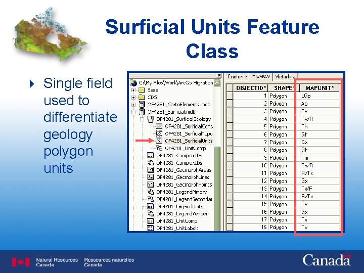 Surficial Units Feature Class 4 Single field used to differentiate geology polygon units 