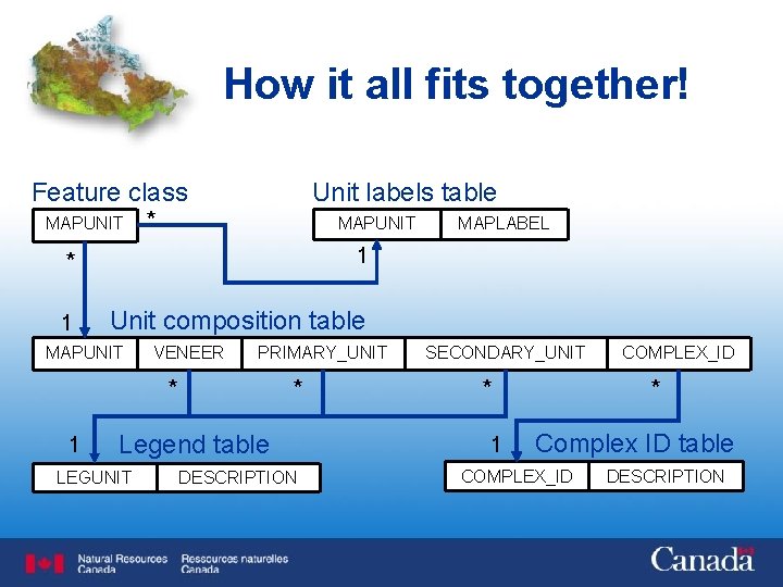 How it all fits together! Feature class MAPUNIT * Unit labels table MAPUNIT *