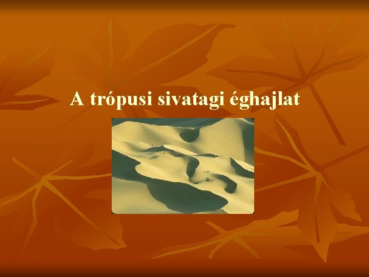 A trópusi sivatagi éghajlat 