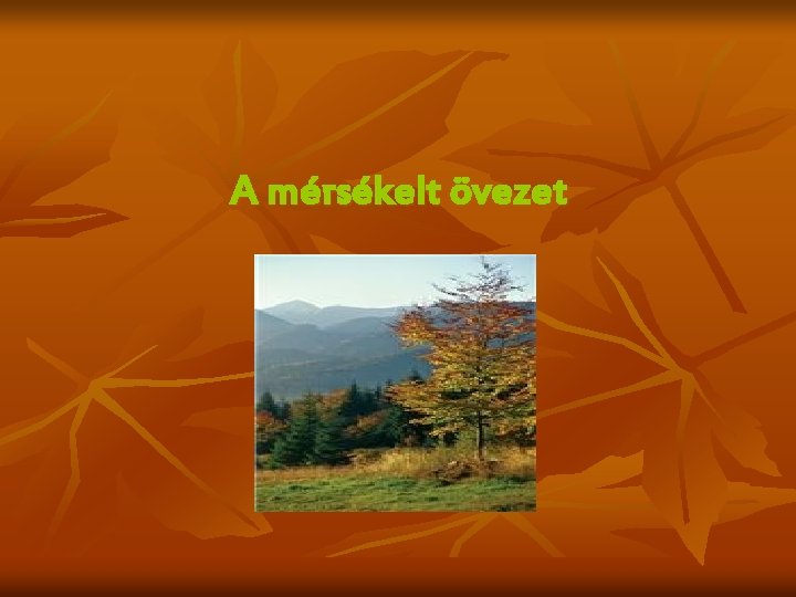 A mérsékelt övezet 