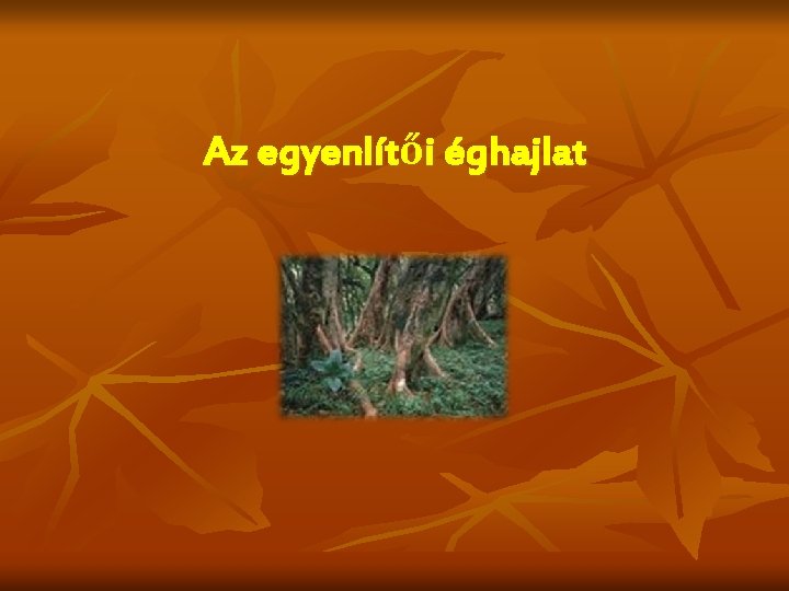 Az egyenlítői éghajlat Az egyenlítői éghajlat