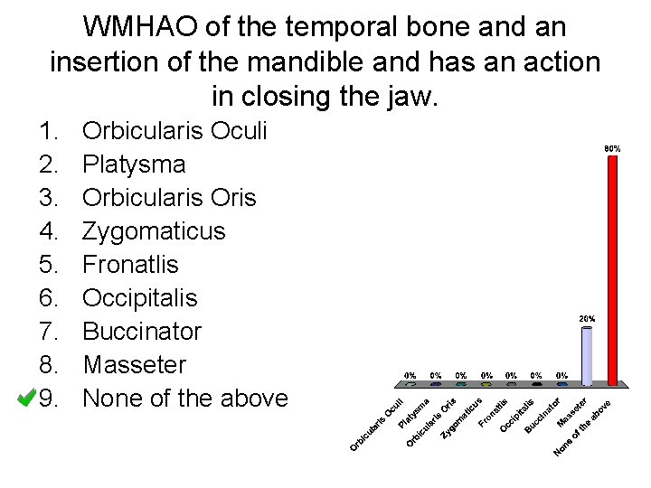 WMHAO of the temporal bone and an insertion of the mandible and has an WMHAO of the temporal bone and an insertion of the mandible and has an