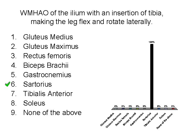 WMHAO of the ilium with an insertion of tibia, making the leg flex and WMHAO of the ilium with an insertion of tibia, making the leg flex and