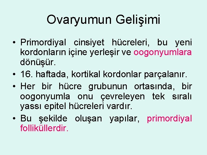 Ovaryumun Gelişimi • Primordiyal cinsiyet hücreleri, bu yeni kordonların içine yerleşir ve oogonyumlara dönüşür.