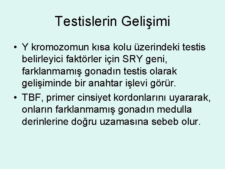 Testislerin Gelişimi • Y kromozomun kısa kolu üzerindeki testis belirleyici faktörler için SRY geni,