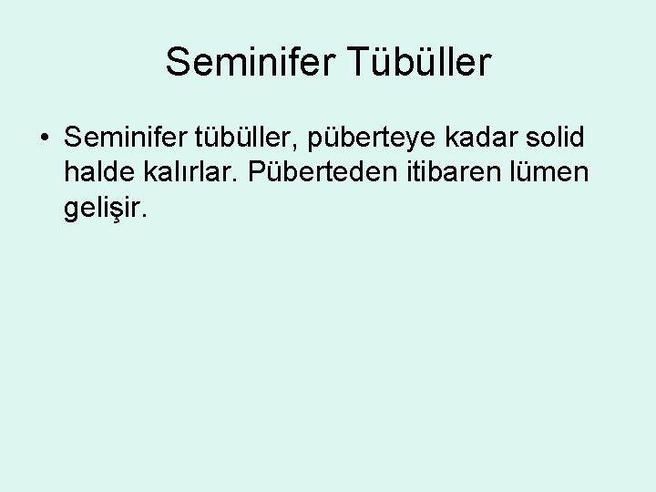 Seminifer Tübüller • Seminifer tübüller, püberteye kadar solid halde kalırlar. Püberteden itibaren lümen gelişir.