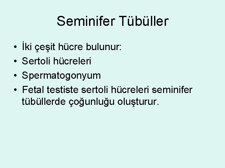 Seminifer Tübüller • • İki çeşit hücre bulunur: Sertoli hücreleri Spermatogonyum Fetal testiste sertoli