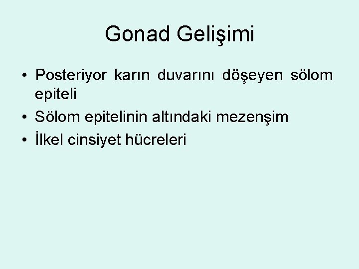 Gonad Gelişimi • Posteriyor karın duvarını döşeyen sölom epiteli • Sölom epitelinin altındaki mezenşim