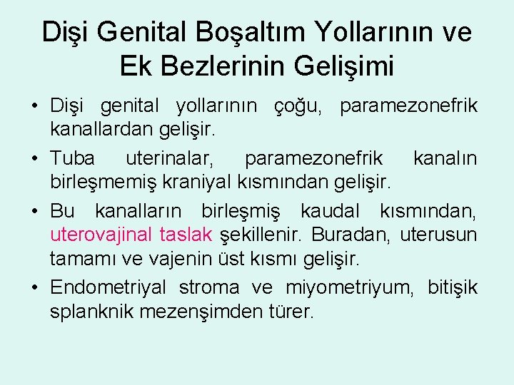 Dişi Genital Boşaltım Yollarının ve Ek Bezlerinin Gelişimi • Dişi genital yollarının çoğu, paramezonefrik