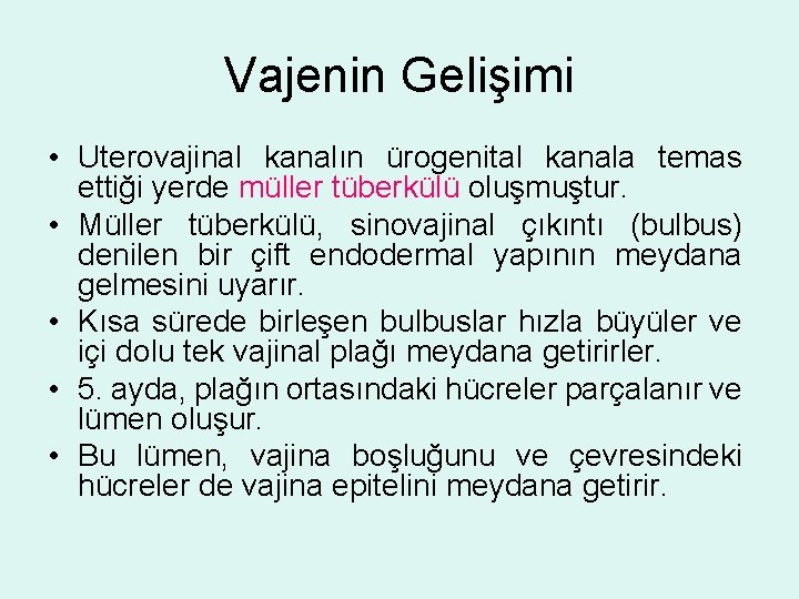 Vajenin Gelişimi • Uterovajinal kanalın ürogenital kanala temas ettiği yerde müller tüberkülü oluşmuştur. •