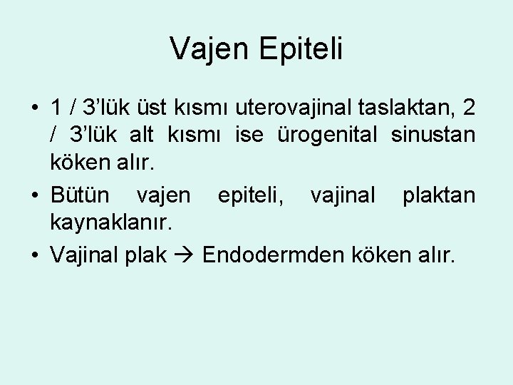 Vajen Epiteli • 1 / 3’lük üst kısmı uterovajinal taslaktan, 2 / 3’lük alt