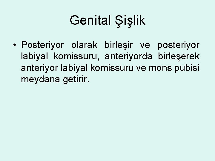 Genital Şişlik • Posteriyor olarak birleşir ve posteriyor labiyal komissuru, anteriyorda birleşerek anteriyor labiyal