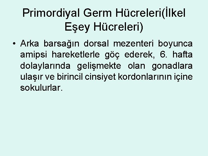 Primordiyal Germ Hücreleri(İlkel Eşey Hücreleri) • Arka barsağın dorsal mezenteri boyunca amipsi hareketlerle göç