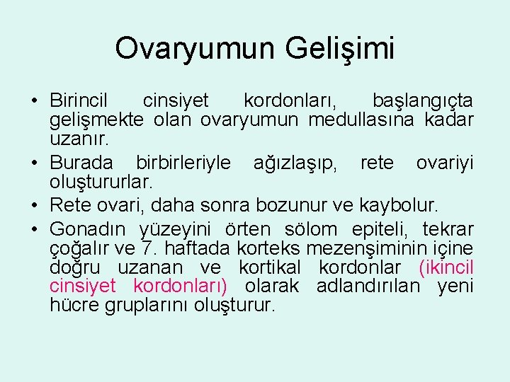 Ovaryumun Gelişimi • Birincil cinsiyet kordonları, başlangıçta gelişmekte olan ovaryumun medullasına kadar uzanır. •