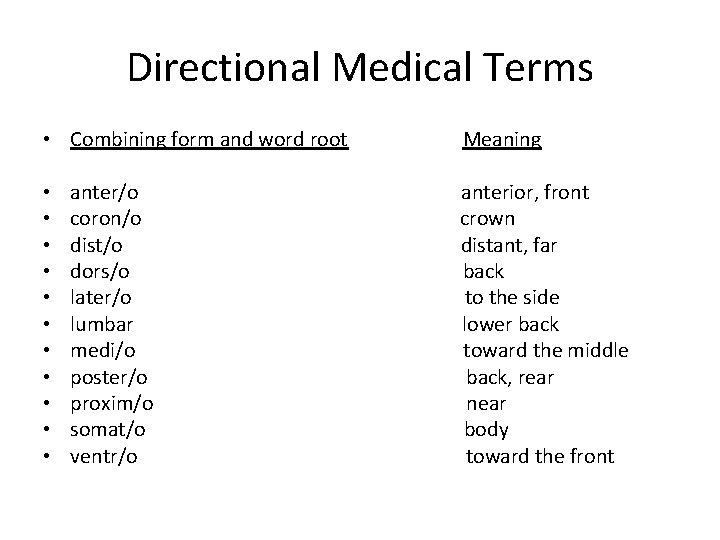 Directional Medical Terms • Combining form and word root • • • anter/o coron/o