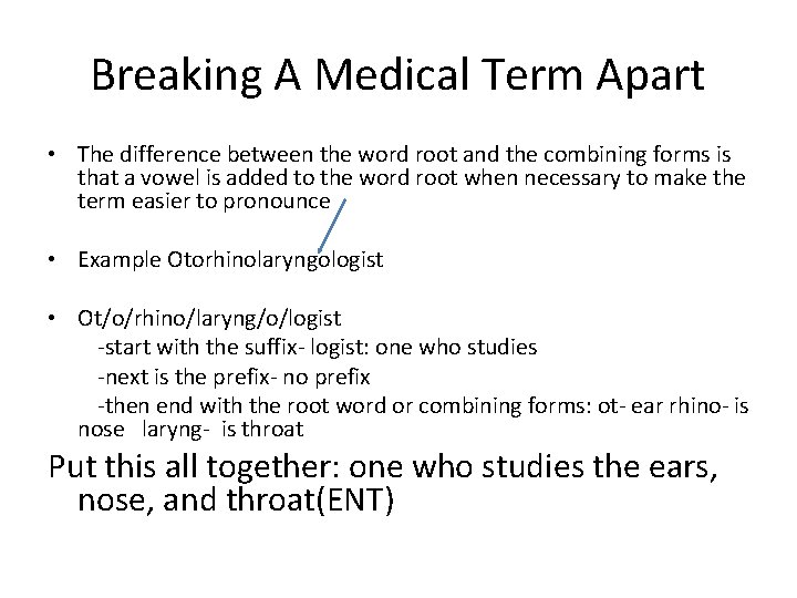 Breaking A Medical Term Apart • The difference between the word root and the