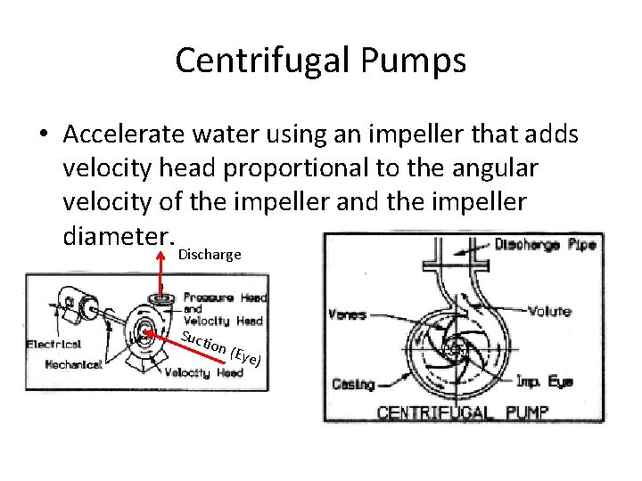 Centrifugal Pumps • Accelerate water using an impeller that adds velocity head proportional to