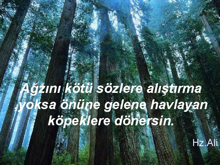  Ağzını kötü sözlere alıştırma , yoksa önüne gelene havlayan köpeklere dönersin. Hz. Ali