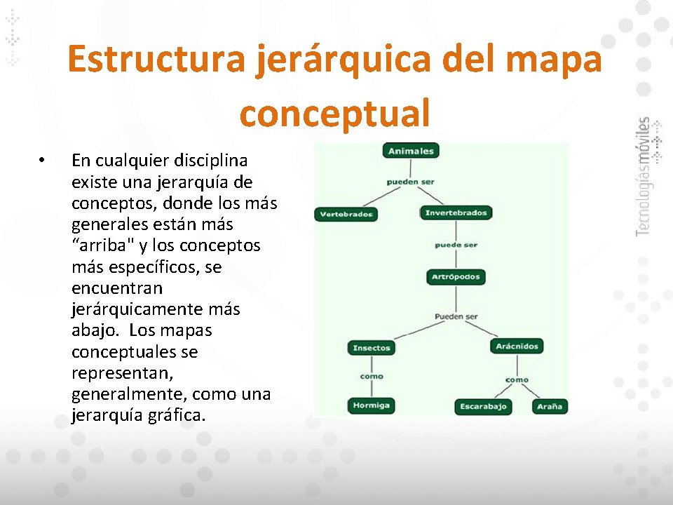 Estructura jerárquica del mapa conceptual • En cualquier disciplina existe una jerarquía de conceptos, Estructura jerárquica del mapa conceptual • En cualquier disciplina existe una jerarquía de conceptos,