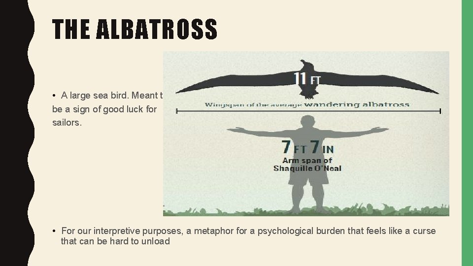 THE ALBATROSS • A large sea bird. Meant to be a sign of good THE ALBATROSS • A large sea bird. Meant to be a sign of good