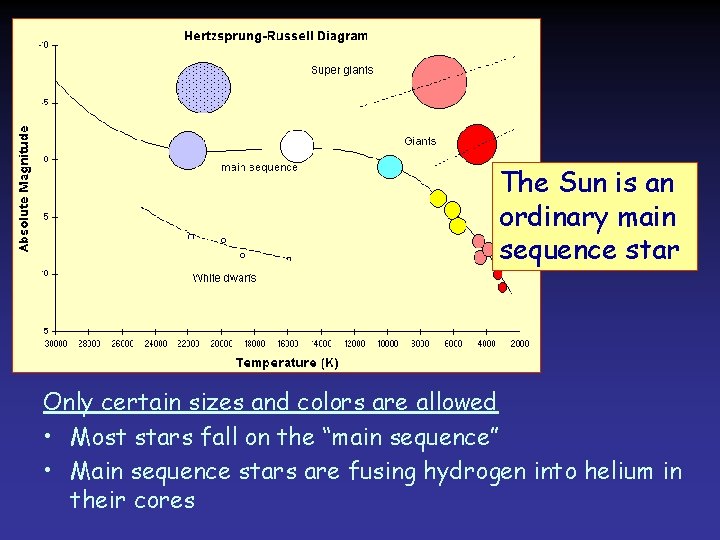 The Sun is an ordinary main sequence star Only certain sizes and colors are The Sun is an ordinary main sequence star Only certain sizes and colors are