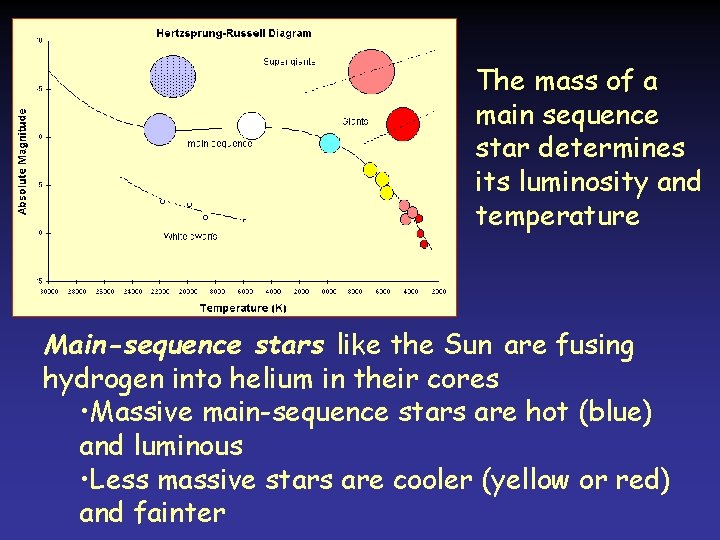 The mass of a main sequence star determines its luminosity and temperature Main-sequence stars The mass of a main sequence star determines its luminosity and temperature Main-sequence stars