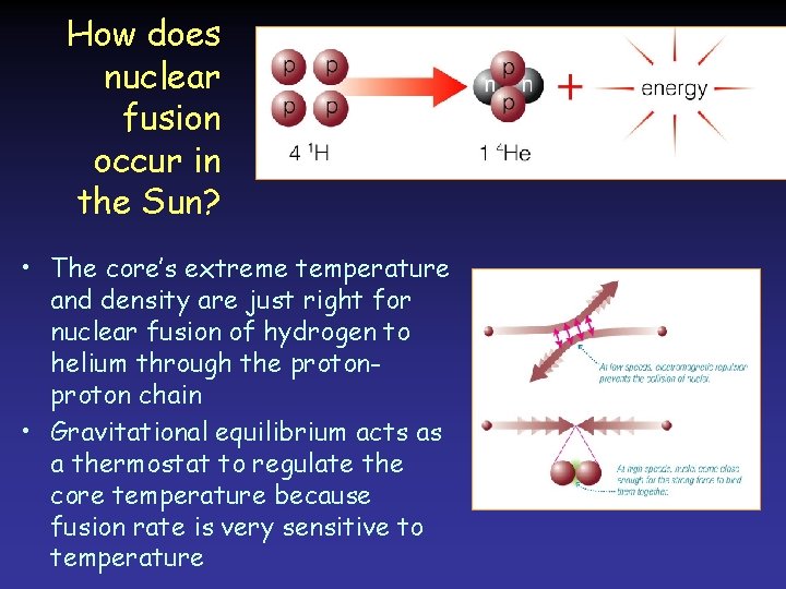 How does nuclear fusion occur in the Sun? • The core’s extreme temperature and How does nuclear fusion occur in the Sun? • The core’s extreme temperature and