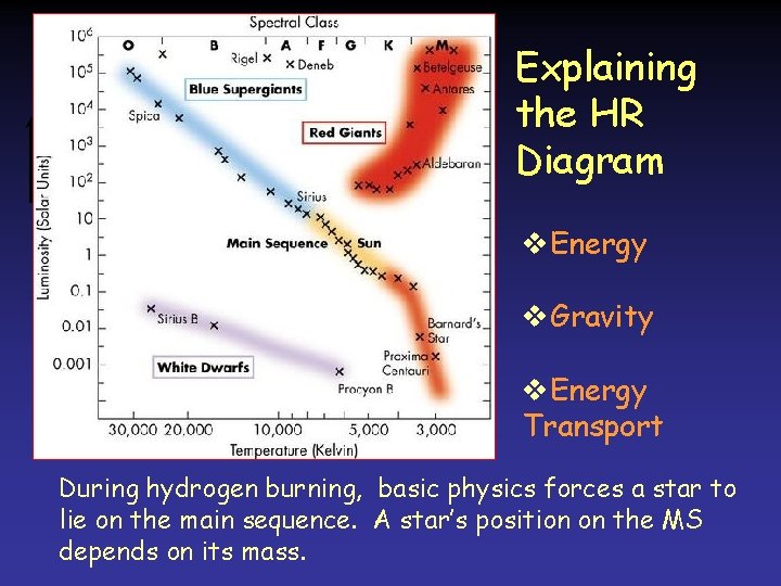 Explaining the HR Diagram v. Energy v. Gravity v. Energy Transport During hydrogen burning, Explaining the HR Diagram v. Energy v. Gravity v. Energy Transport During hydrogen burning,