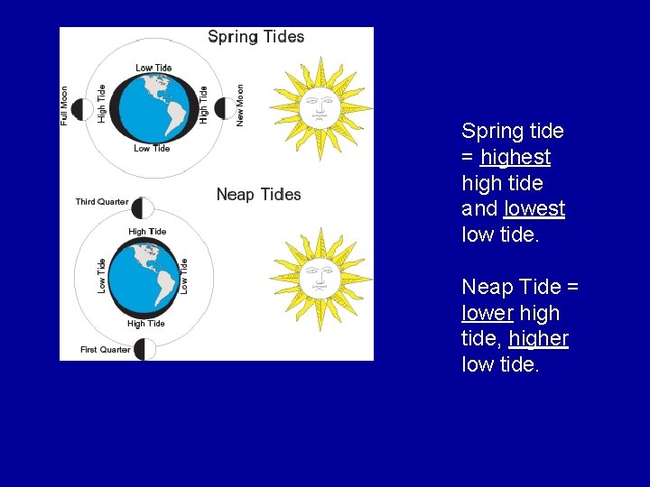 Spring tide = highest high tide and lowest low tide. Neap Tide = lower