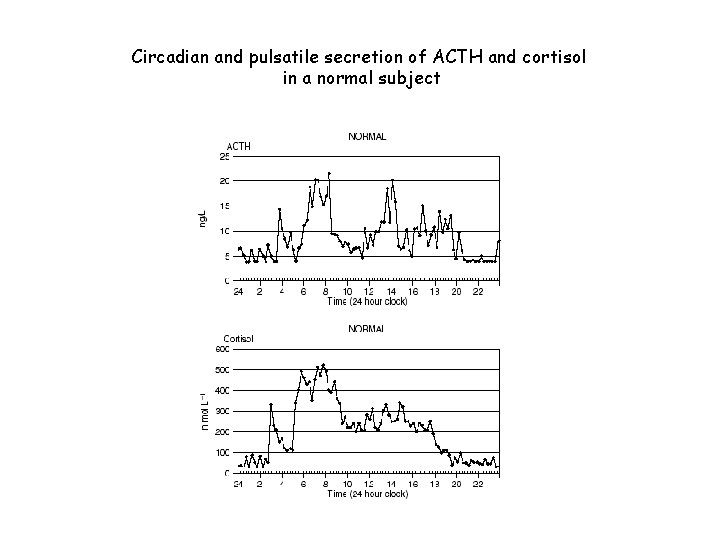 Circadian and pulsatile secretion of ACTH and cortisol in a normal subject 