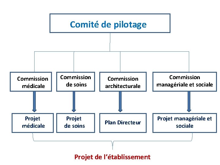 Comité de. CC pilotage Commission médicale Commission de soins Commission architecturale Commission managériale et