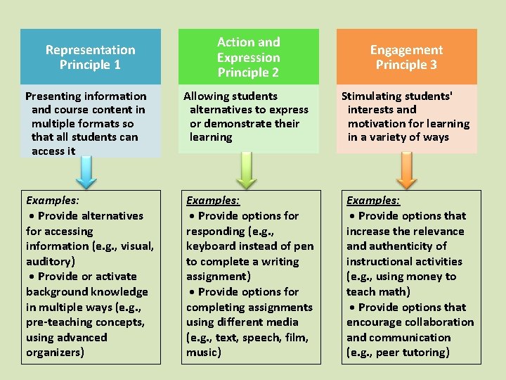 Action and Expression Principle 2 Engagement Principle 3 Presenting information and course content in Action and Expression Principle 2 Engagement Principle 3 Presenting information and course content in