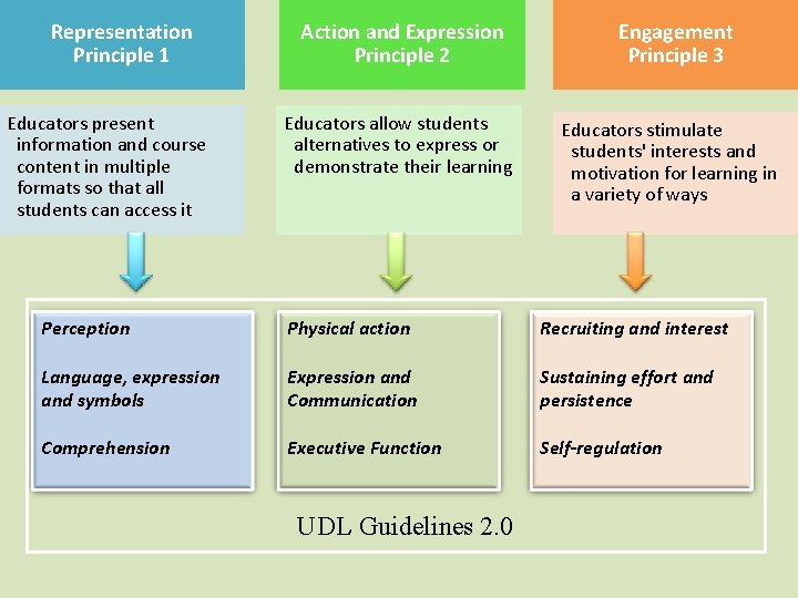Representation Principle 1 Educators present information and course content in multiple formats so that Representation Principle 1 Educators present information and course content in multiple formats so that